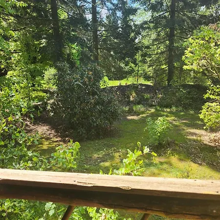 Chalet Tidy Furnished Wooden Near The Forest