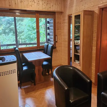 Chalet Tidy Furnished Wooden Near The Forest Sellerich