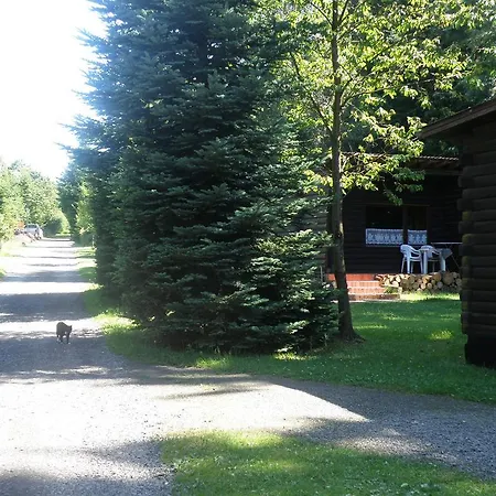 Chalet Tidy Furnished Wooden Near The Forest